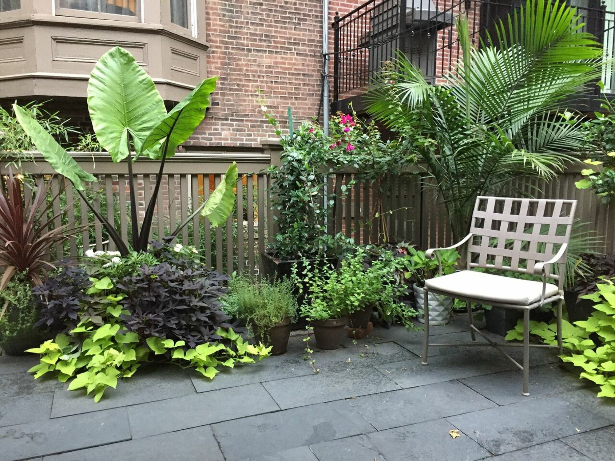 Clarendon Square Bed and Breakfast Βοστώνη Εξωτερικό φωτογραφία